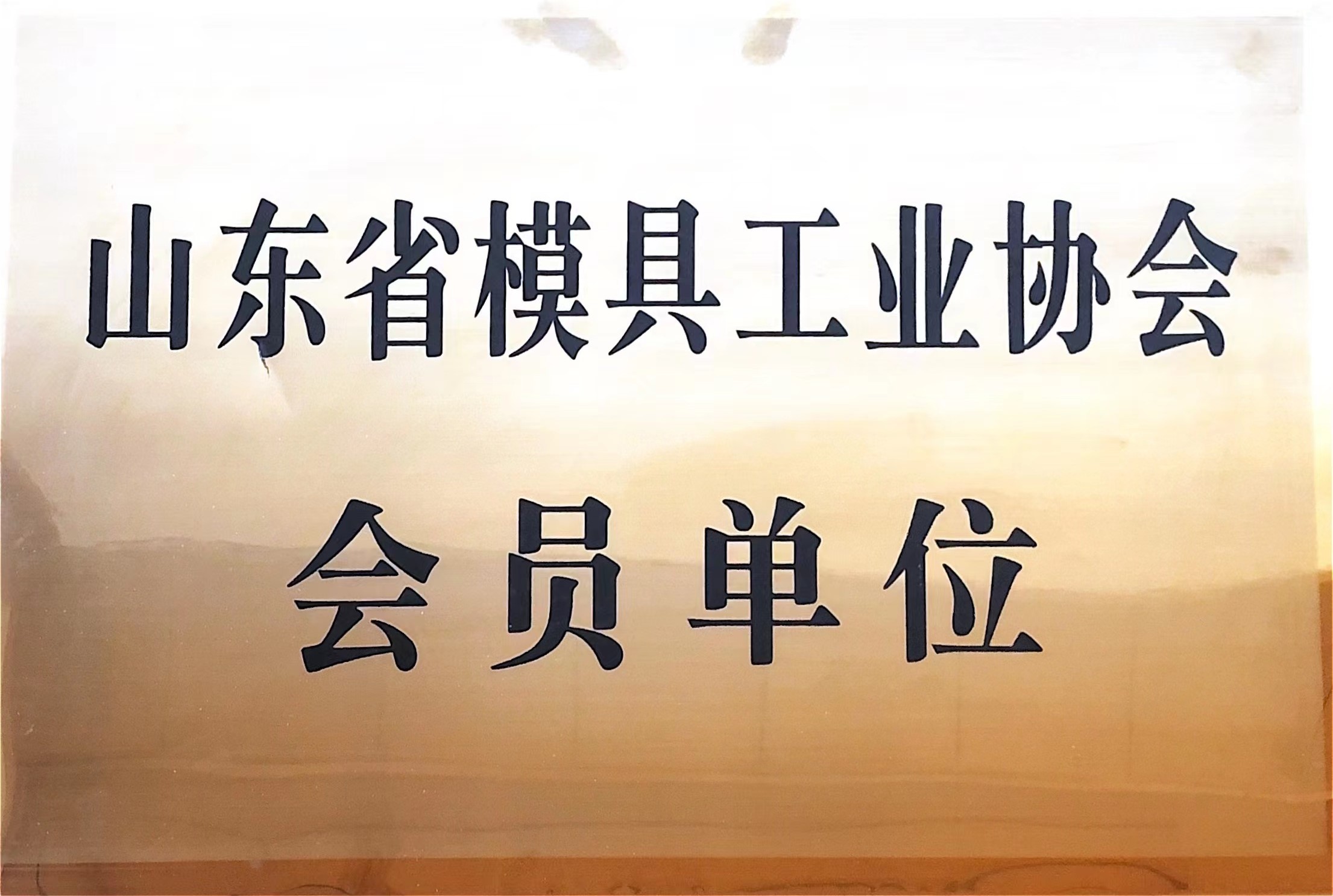 山東省模具工業(yè)協(xié)會(huì)會(huì)員單位